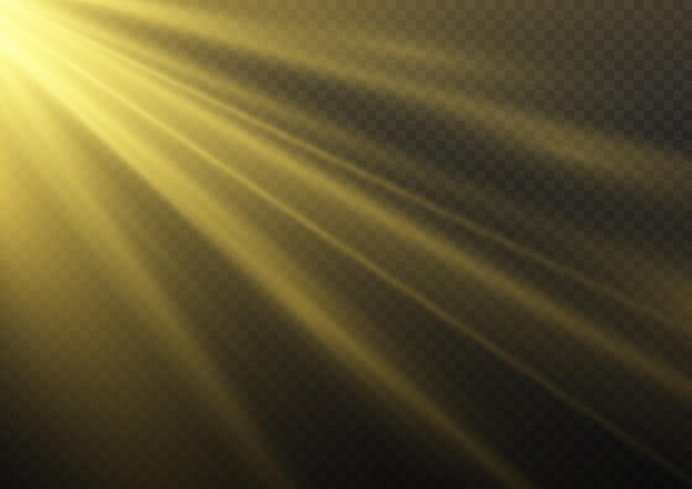 Rayos de sol dorados Resplandor de destello de estrella amarilla Brillo dorado Efecto de luz de flash de lente especial de luz solar Vector