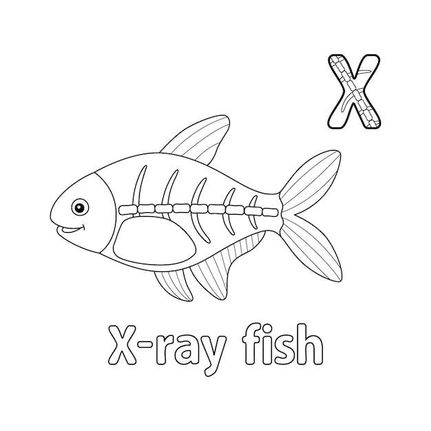 Vector rayos x alfabeto de pescado abc para colorear x