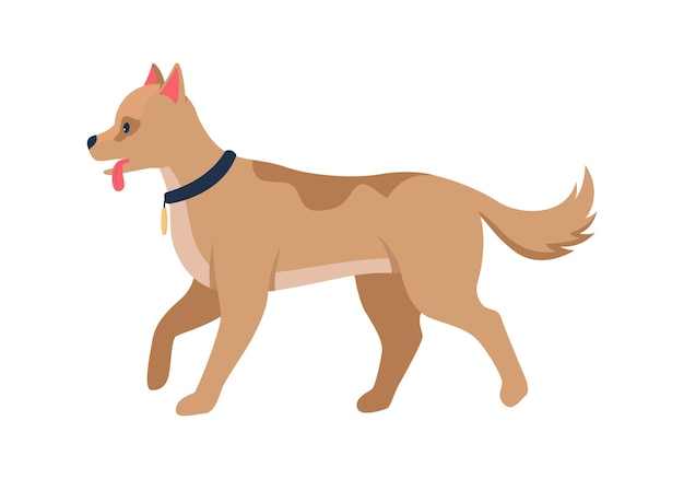Raza de perro para la caza de caracteres de vector de color semi plano