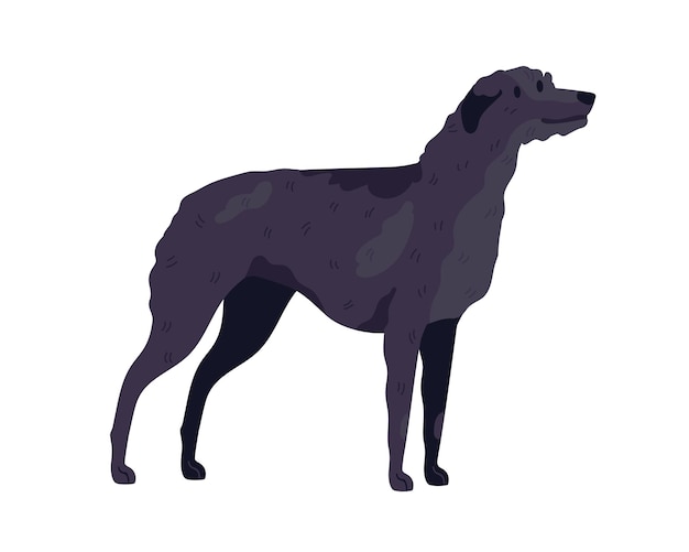 Raza wolfhound irlandés. perro guardián o de caza. perrito alto de pie sobre fondo blanco. perro lobo de pura raza realista. ilustración de vector plano aislado.