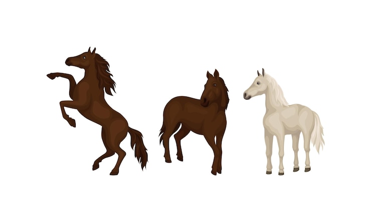 Vector razas de caballos como conjuntos vectoriales de mamíferos ungulados domésticos