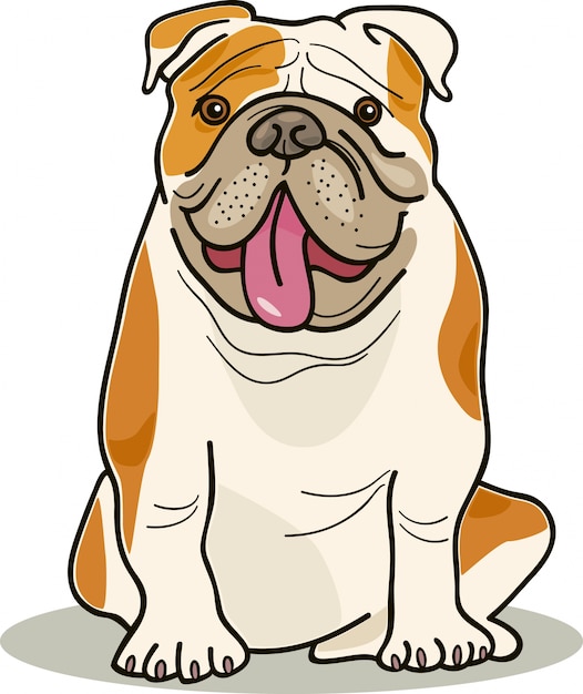 razas de perros: bulldog