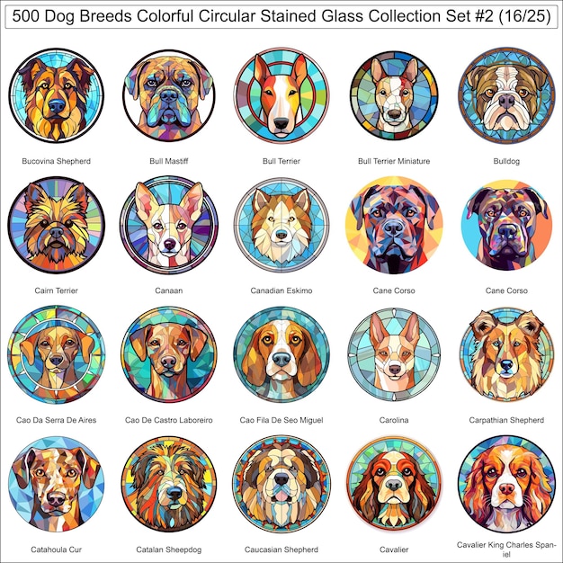 Razas de perros coloridos Colección de perros de vidrio teñido circular Conjunto 2 de 500 caras de perro Parte 16