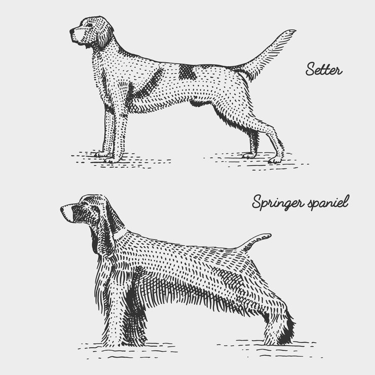 Vector razas de perros grabadas, ilustración dibujada a mano en estilo scratchboard grabado en madera
