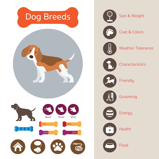 Vector razas de perros, infografía, icono, símbolo, elemento