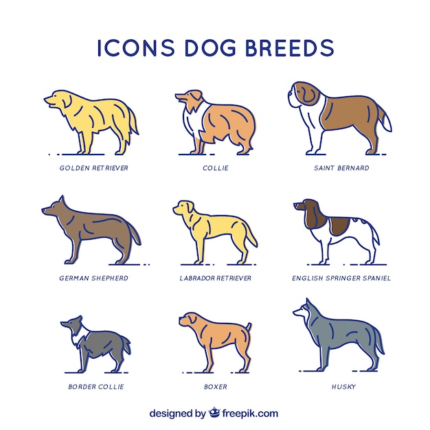 Vector razas de perros