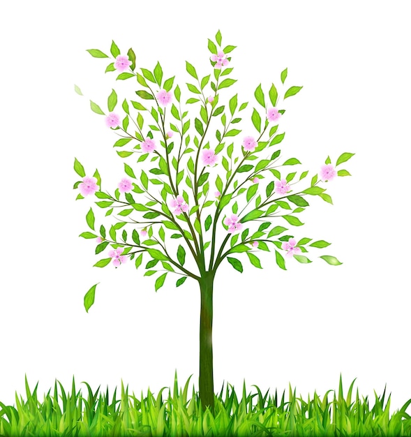 Árbol de flor de primavera con vector de hierba verde