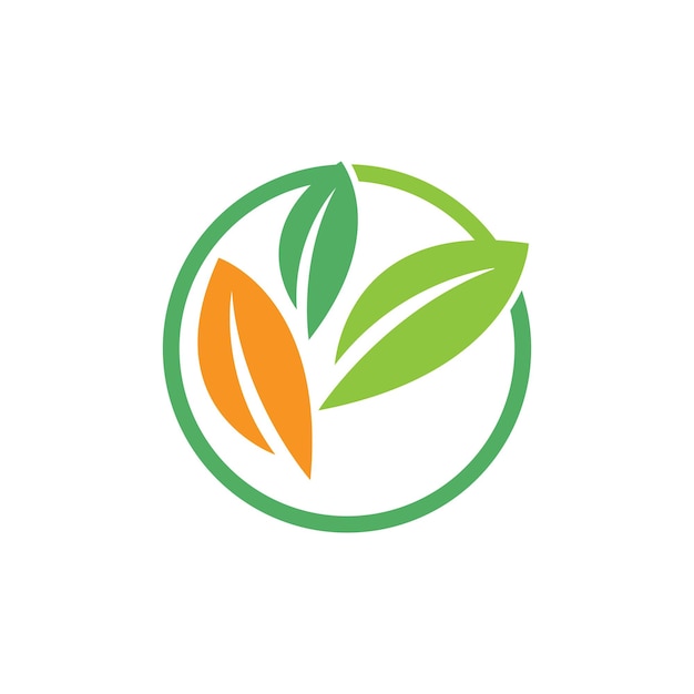 Árbol hoja vector logo diseño eco amigable concepto