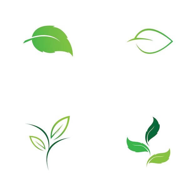 Árbol hoja vector logo diseño eco amigable concepto
