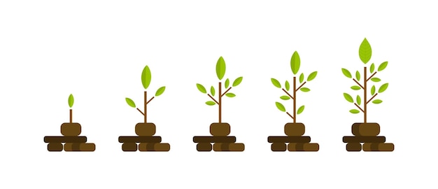 Árbol verde con diagrama de crecimiento de hojas Inversión en el desarrollo del ciclo económico