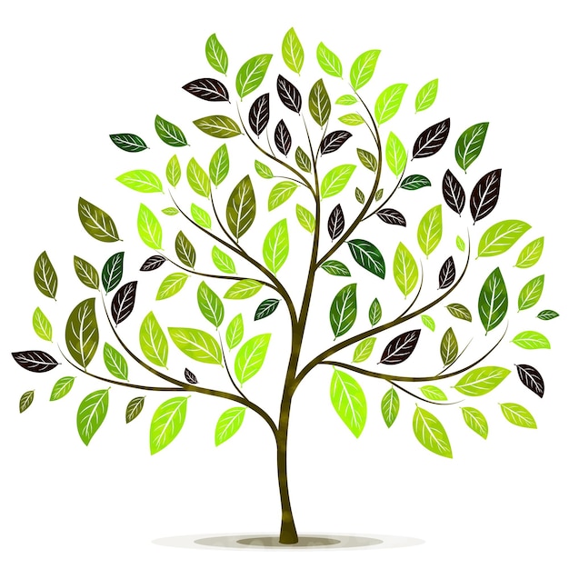 Árbol verde con hojas en vector de fondo blanco