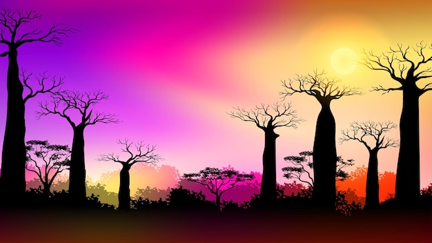 Árboles de baobab en el paisaje de sabana de África al atardecer con cielo degradado colorido