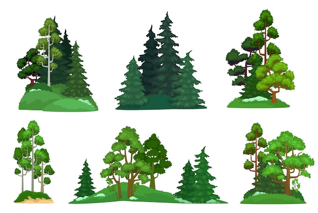 Árboles forestales. Abeto verde, composición de pino de los bosques y árboles aislados