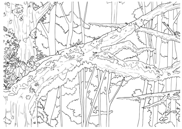 Árboles de hábitat dibujados a mano por vectores en la ilustración del contorno de la selva