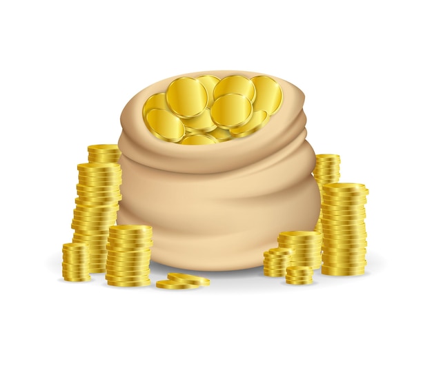 Realismo detallado 3d bolsa con dinero conjunto vectorial