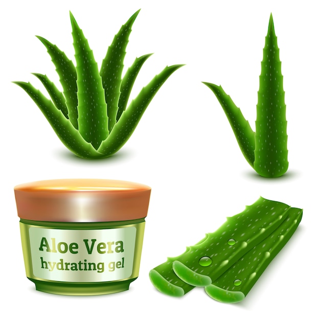 Vector realista conjunto de planta de aloe y producto cosmético hidratante en gel.