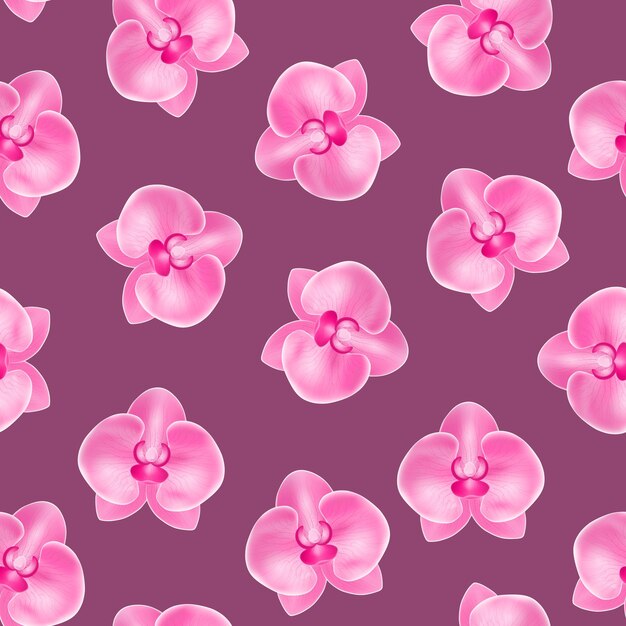 Realista detallado 3d flor orquídea patrón sin costuras fondo flor planta hermosa decoración floral para la web ilustración vectorial