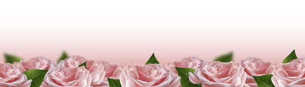 Realista rosa 3d rosa flores sobre fondo blanco ilustración vectorial
