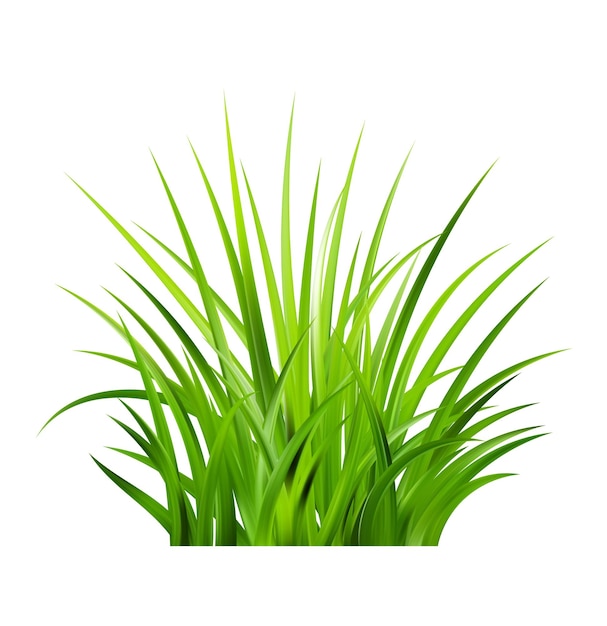 Realistas arbustos de hierba verde de verduras frescas prado de primavera