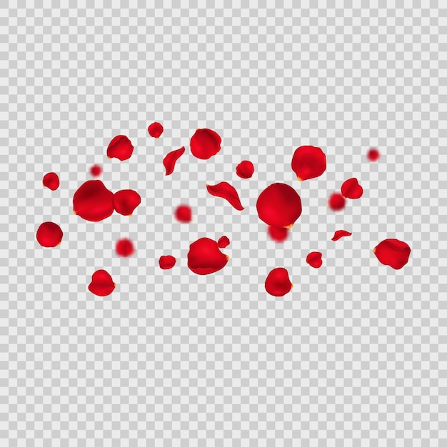 Vector realistas detallados pétalos de rosas rojas en 3d en un fondo transparente ilustración vectorial de elementos decorativos