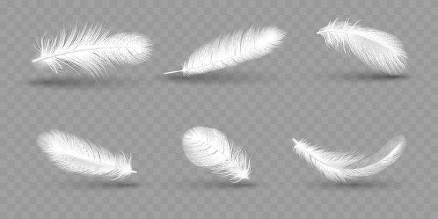 Realistas plumas de ganso blancas suaves pluma de pájaro de ala caída esponjosa pluma de pato pluma de gallina o cisne plumaje sin peso ligero símbolo de ligereza vector aislado aislado colección 3d