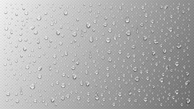 Realistic water drops set isolated on transparent background Vector illustration