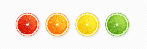 Realisticas rebanadas frescas y coloridas de la vista superior con limón, limón, naranja y pomelo en transparencia