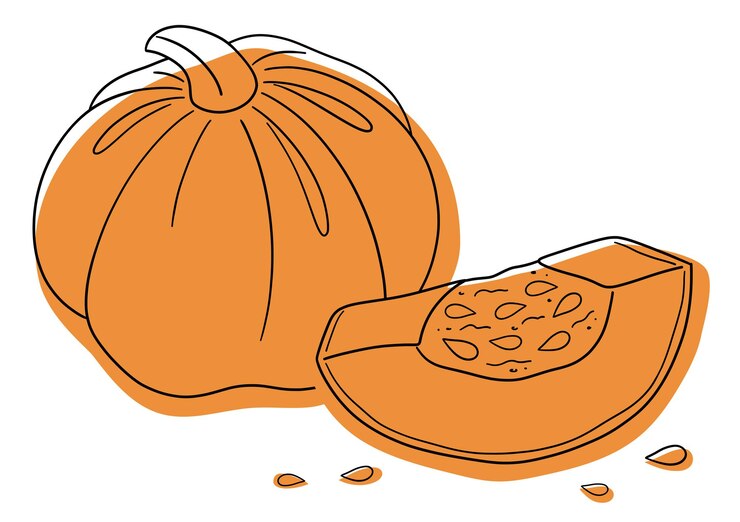 Vector rebanada de calabaza estilizada vectorial con semillas. calabaza en el corte. semillas de calabaza. línea de calabaza. víspera de todos los santos