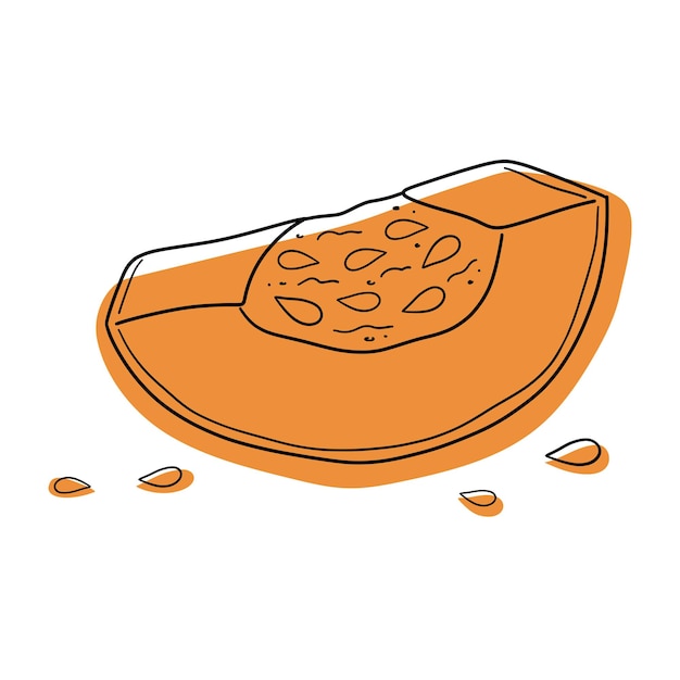 Rebanada de calabaza estilizada vectorial con semillas. Calabaza en el corte. Semillas de calabaza. Línea de calabaza.