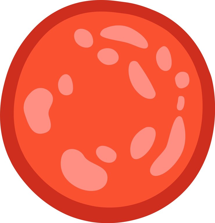 Vector rebanada de carne de salchicha
