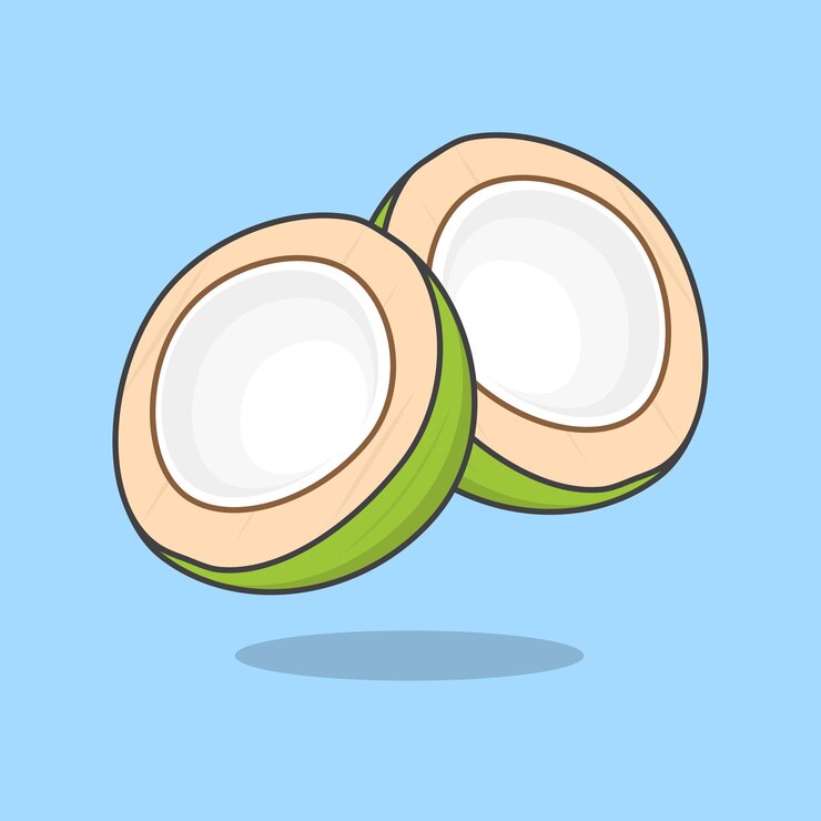 Vector rebanada de coco dibujos animados vector ilustración coco fresco icono plano contorno coco
