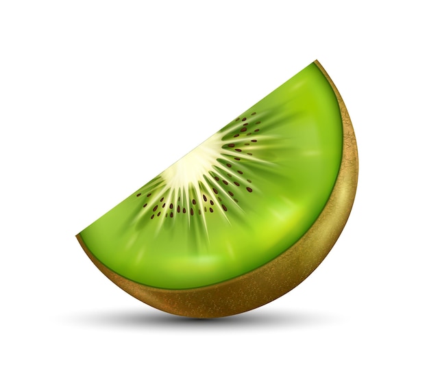 Rebanada de concepto de kiwi