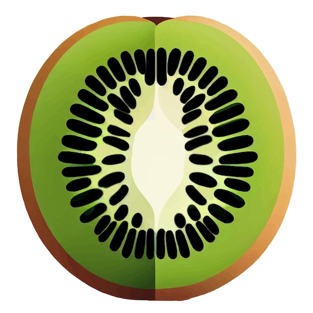 Vector rebanada de kiwi aislado