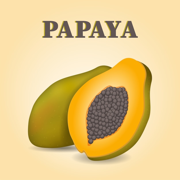 Rebanada de papaya y fruta entera ilustración realista.