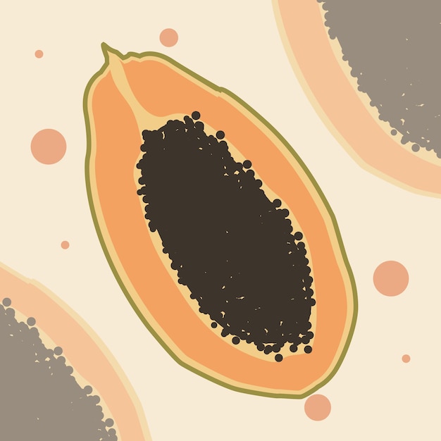 Vector rebanada de papaya de fruta de verano dulce