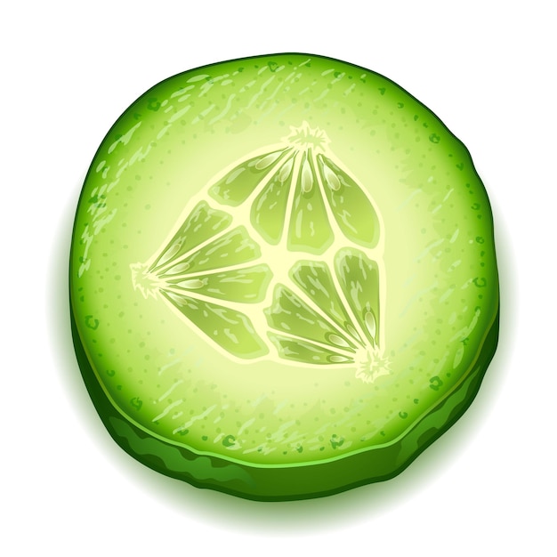 Rebanada de pepino fresco aislada sobre un fondo blanco
