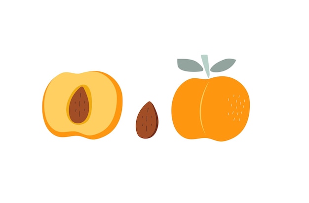 Rebanadas de albaricoque de melocotón y frutas enteras frutas abstractas con hojas alimentos vegetarianos naturales con vitaminas