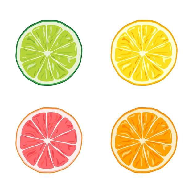 Vector rebanadas de cítricos de limón de pomelo naranja y limón aisladas sobre un fondo blanco plano