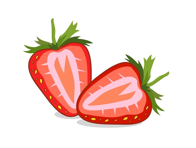 Rebanadas de fresas frutas de fresas maduras rojas ricas en vitaminas Ilustración vectorial