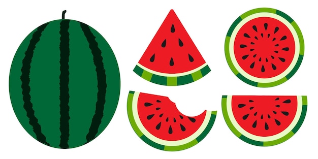 Rebanadas de sandía y frutas enteras