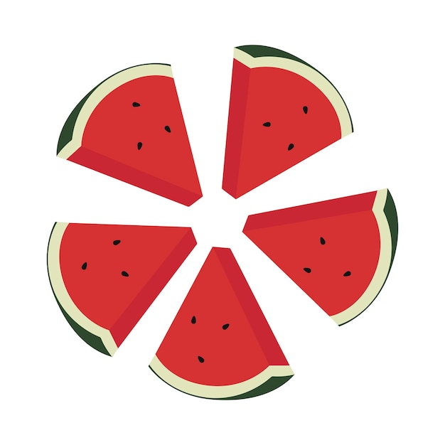 Rebanadas de sandía en patrón radial Ilustración vectorial de sandía roja aislada en blanco
