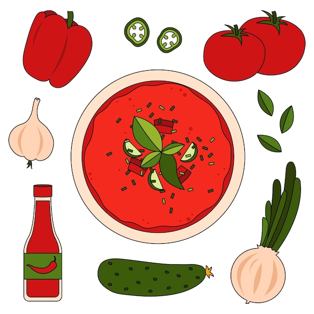 Vector receta de gazpacho con ingredientes: tomate, pimiento, cebolla, ajo, pepino y salsa de tomate.