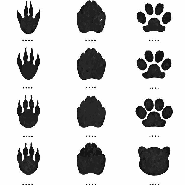 Recolección detallada de huellas de animales para su identificación