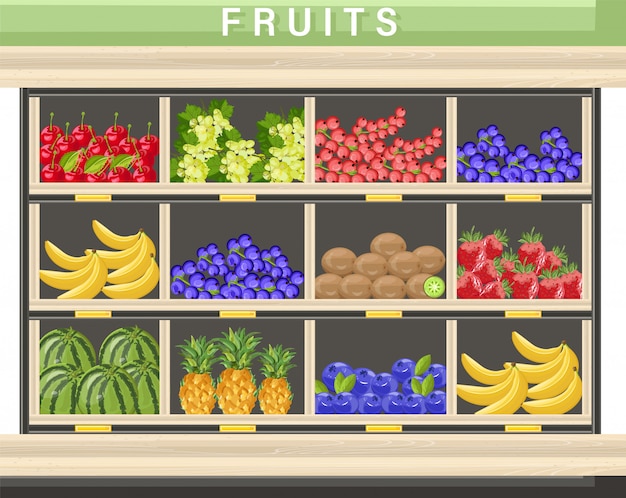 Vector recolección de frutas frescas de la granja.