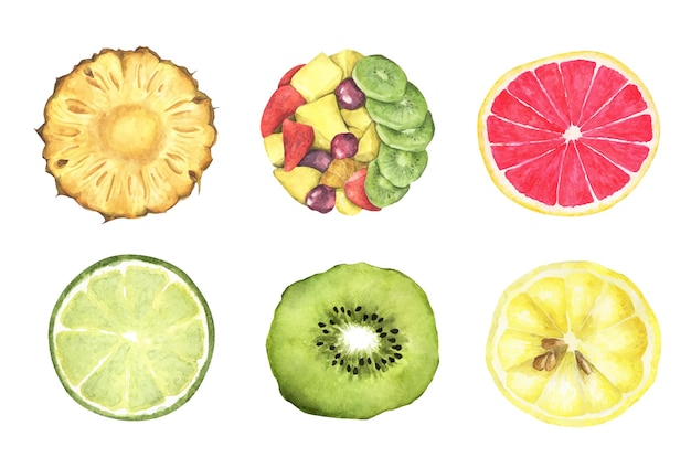 Recolección de frutas frescas. Vista superior. Ilustración acuarela.