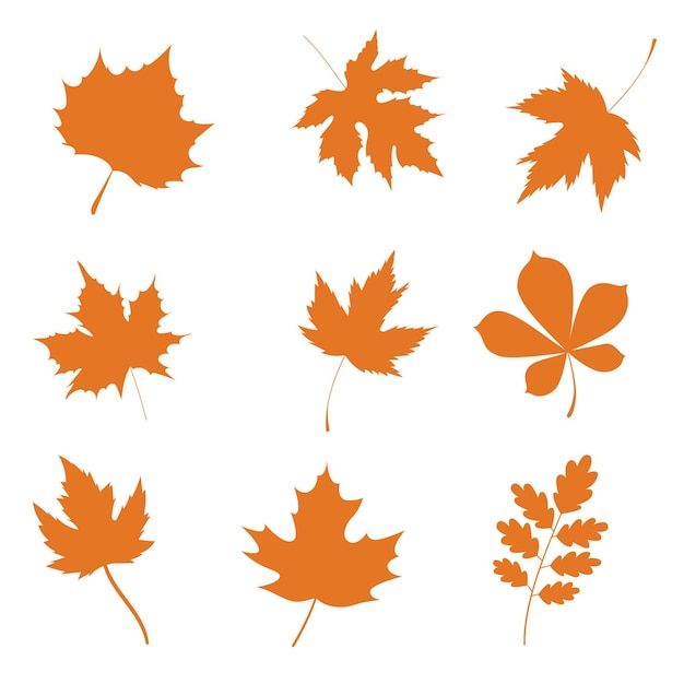 recolección de hojas de otoño