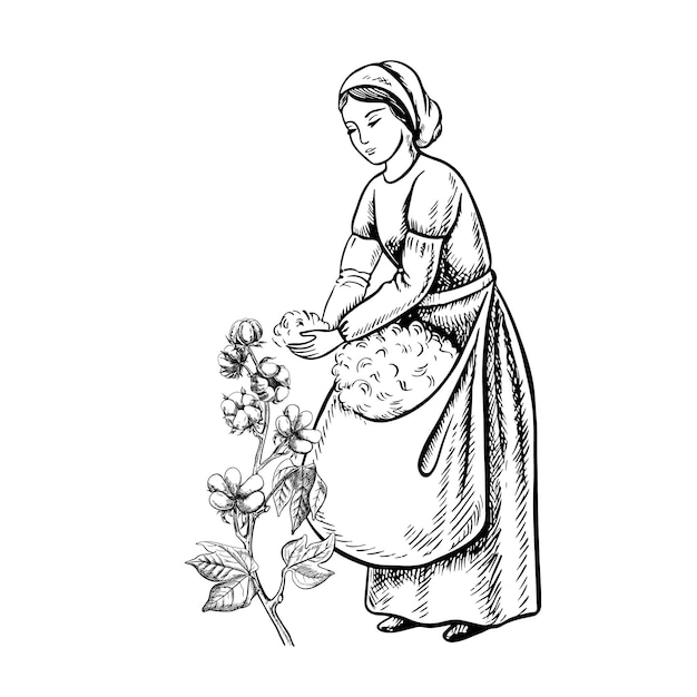 Un recolector de algodón a mano Ilustración gráfica vectorial detallada en blanco y negro Dibujada a mano aislada