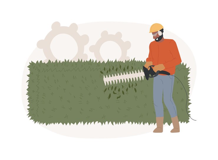 Vector recorte de setos concepto aislado ilustración vectorial tijeras de mano madera muerta quitar ramas forma árboles y arbustos podadoras de setos mantenimiento del paisaje nivel láser concepto vectorial