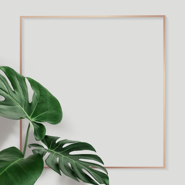 Recurso de diseño del marco cuadrado de Golden Monstera
