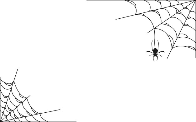 red de araña negra aislada sobre un fondo blanco